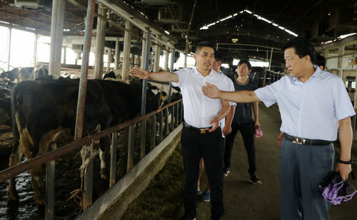 朱时华 李红林赴台州调研大友畜牧奶牛