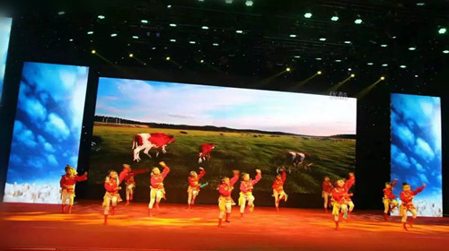 舞梦飞扬舞蹈1.jpg