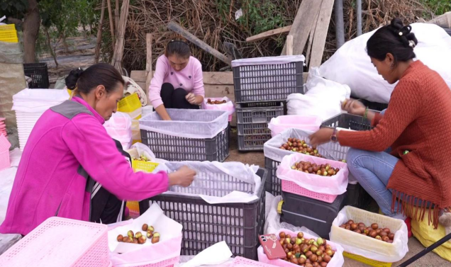 屏幕截图 2024-09-12 210510.png