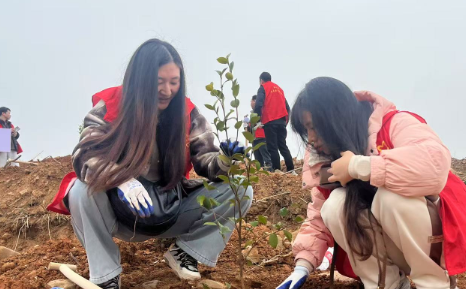 屏幕截图 2025-03-14 102247.png