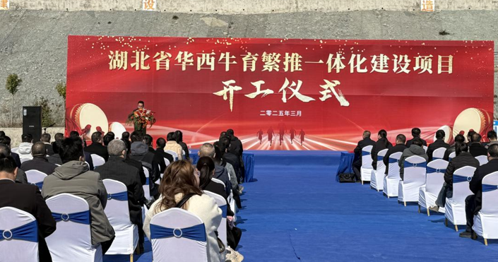 屏幕截图 2025-03-20 155536.png