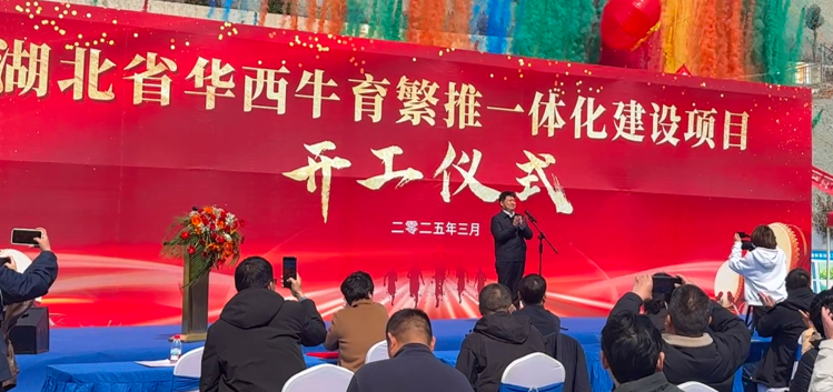 屏幕截图 2025-03-20 155540.png