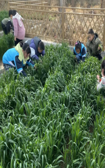 屏幕截图 2025-03-24 170709.png