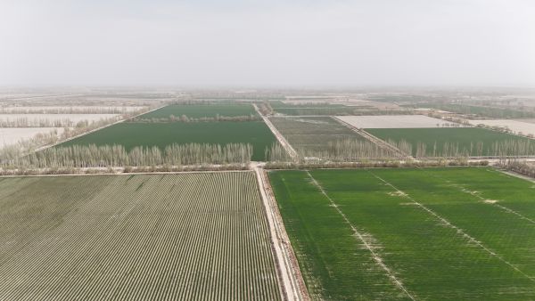 dji_fly_20250408_161544_0022_1744101512263_photo.jpg