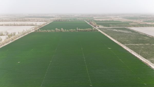 dji_fly_20250408_161812_0024_1744101508116_photo.jpg