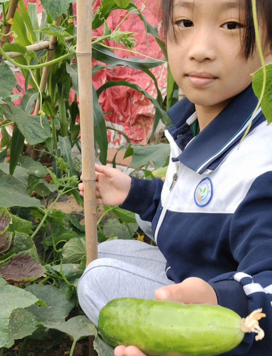 05231747999039598727.png 屏幕截图 2025-05-23 191654.png