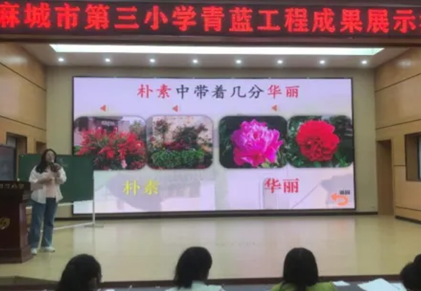 屏幕截图 2025-06-20 220248.png