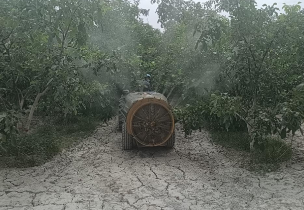屏幕截图 2025-07-10 195234.png