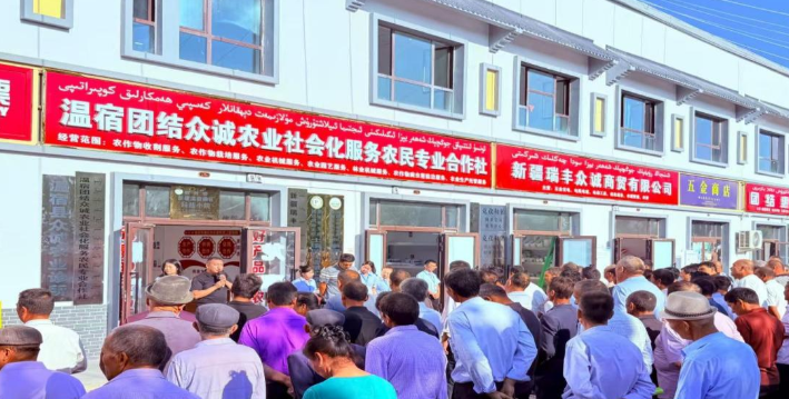屏幕截图 2025-08-11 212908.png