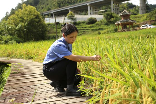 检察干警实地踏勘2.JPG