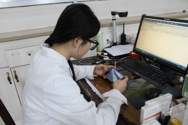 十二团医院药剂科坚守工作岗位的工作人员利用手机收听收看纪念中国人民抗日战争暨世界反法西斯战争胜利80周年大会盛况.JPG