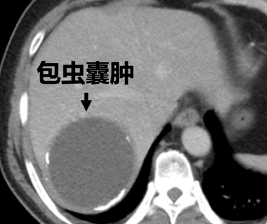 屏幕截图 2025-09-11 182020.png