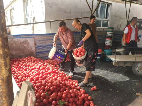 微信图片_20250910233519_26_1.jpg