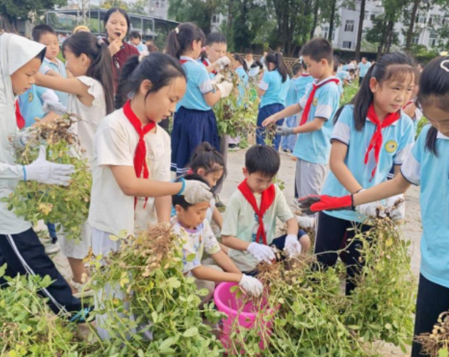 屏幕截图 2025-09-17 184216.png