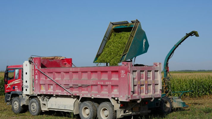 10111760185373199972.png 屏幕截图 2025-10-11 202204.png