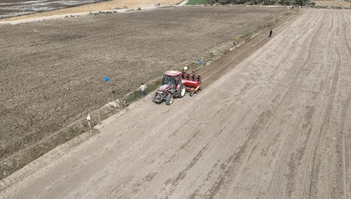 10151760525575661223.png 屏幕截图 2025-10-15 185139.png