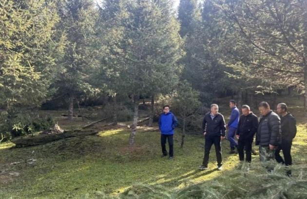 10281761659262521300.jpeg 屏幕截图_28-10-2025_214316_mail.163.com.jpeg