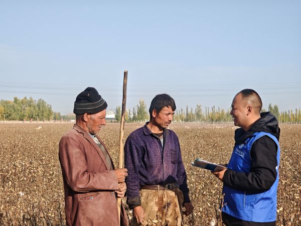 10301761830221320566.jpg Image_1761789721131.jpg