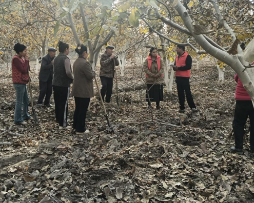 10301761831798822099.png 屏幕截图 2025-10-30 214305.png