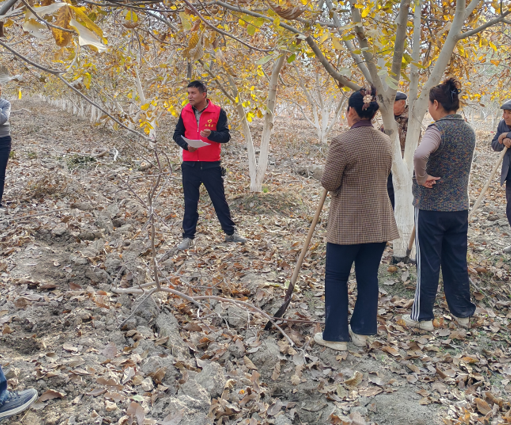 10301761831910456191.png 屏幕截图 2025-10-30 214309.png