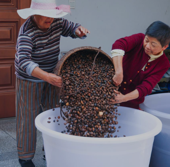 10311761905503436572.png 屏幕截图 2025-10-31 181131.png