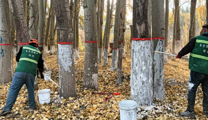 屏幕截图 2025-10-31 192410.png