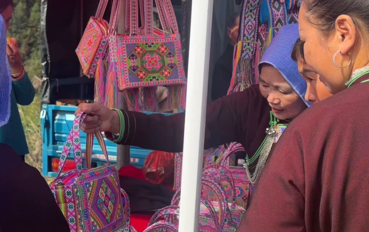 10311761916038718563.png screenshot-1761915966427.png