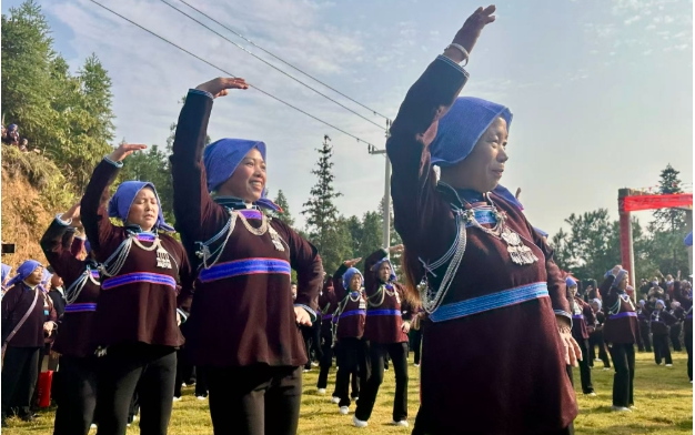 10311761916052243483.png screenshot-1761915984010.png