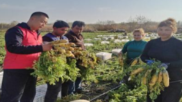 11031762168353465877.png 屏幕截图 2025-11-03 191226.png