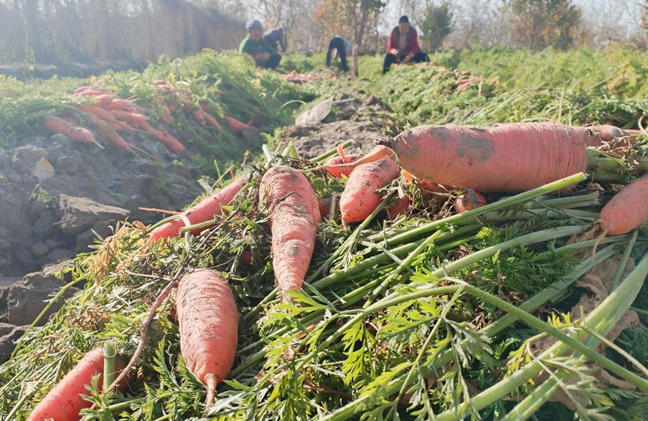 11111762862784529983.png 屏幕截图 2025-11-11 193729.png