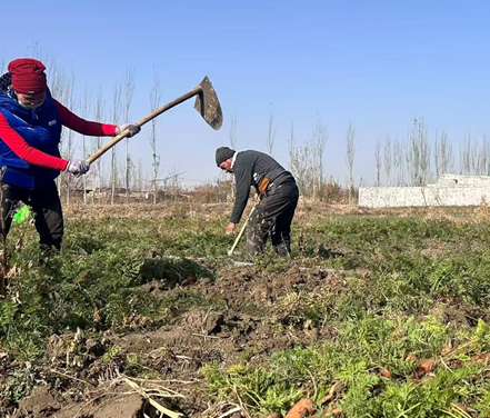 屏幕截图 2025-11-19 185334.png