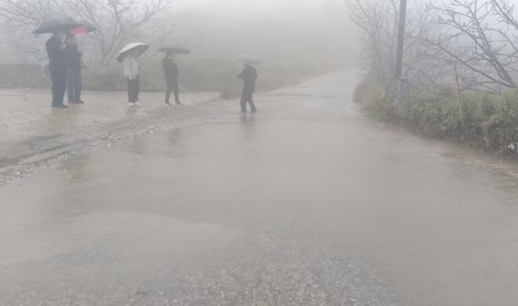 11201763629984728118.png screenshot-1763629602783.png