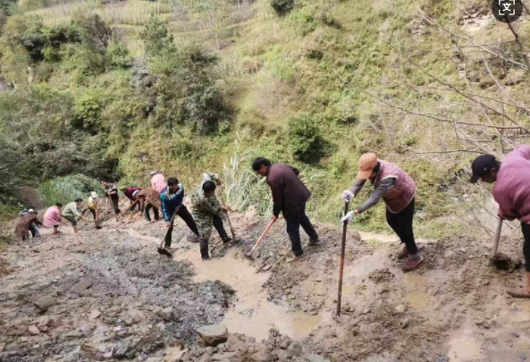 11201763630049319051.png screenshot-1763629641130.png