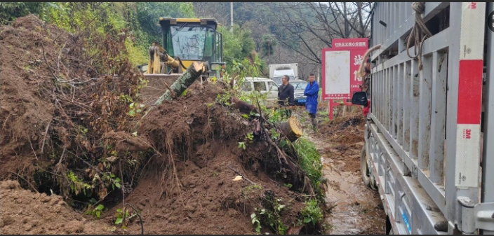 11201763630059135370.png screenshot-1763629666259.png