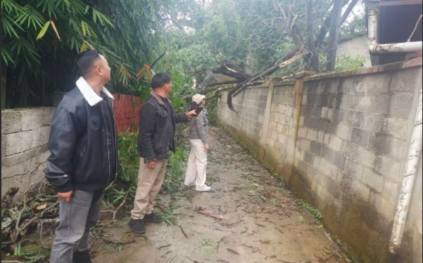 11201763630069404858.png screenshot-1763629689155.png