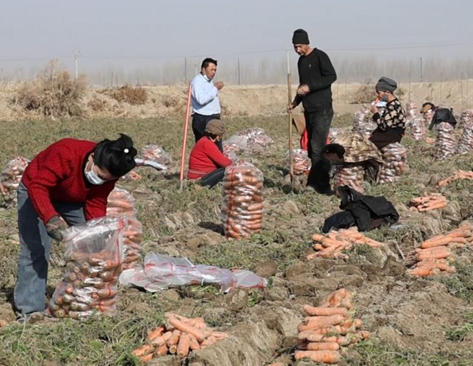 11211763722243766958.png 屏幕截图 2025-11-21 183644.png