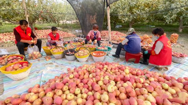 11241763985697593461.jpg Cache_62981eb13a73229f.jpg