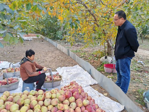 11241763985703750626.jpg Image_1763958910946.jpg