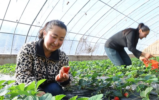 11271764242933309640.png 屏幕截图 2025-11-27 192728.png