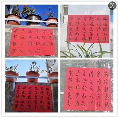 12061764985240741465.png screenshot-1764984912446.png