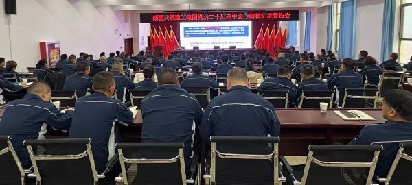 12081765192899353456.jpg 微信图片_20251205185543_314_78.jpg