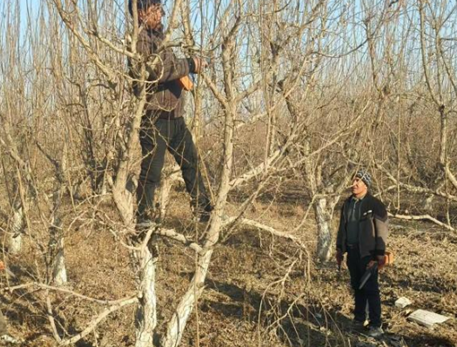 12091765277324202052.png 屏幕截图 2025-12-09 184736.png