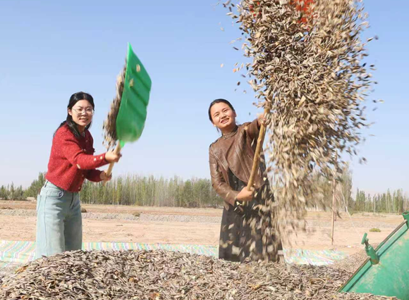 12101765359942228405.png 屏幕截图 2025-12-10 171815.png