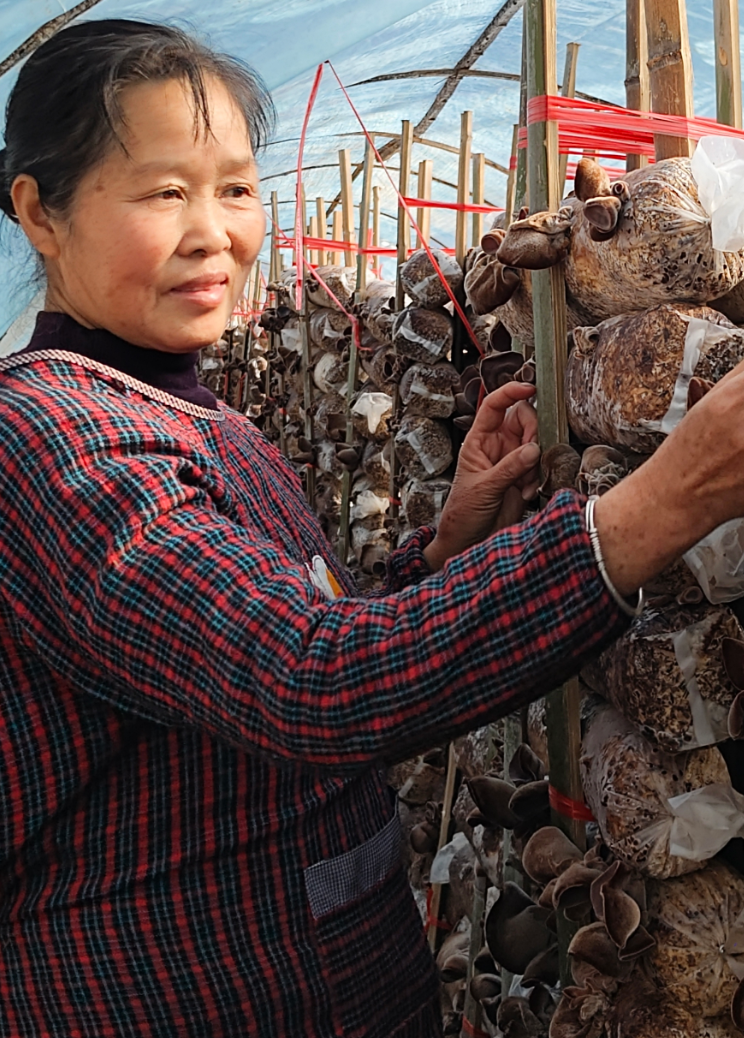 屏幕截图 2025-12-25 194414.png