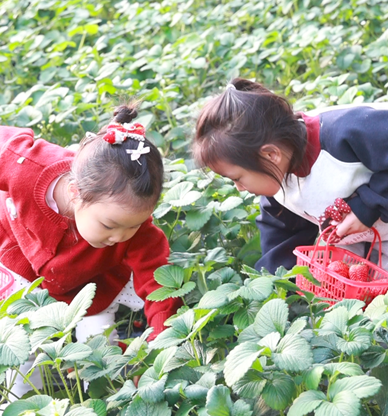 屏幕截图 2025-12-30 184251.png