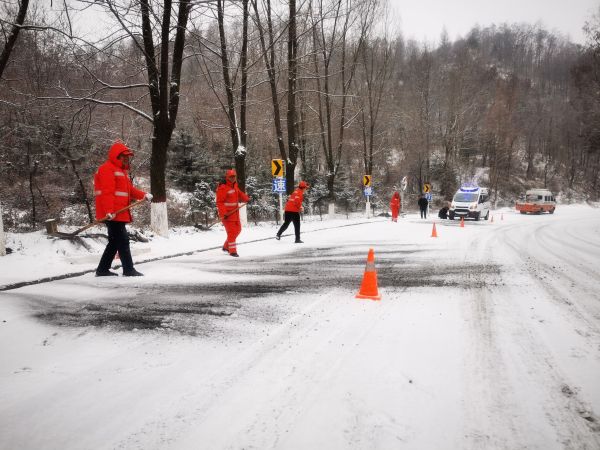 12311767173882696603.jpg 微信图片_20251231090225_1269_8.jpg