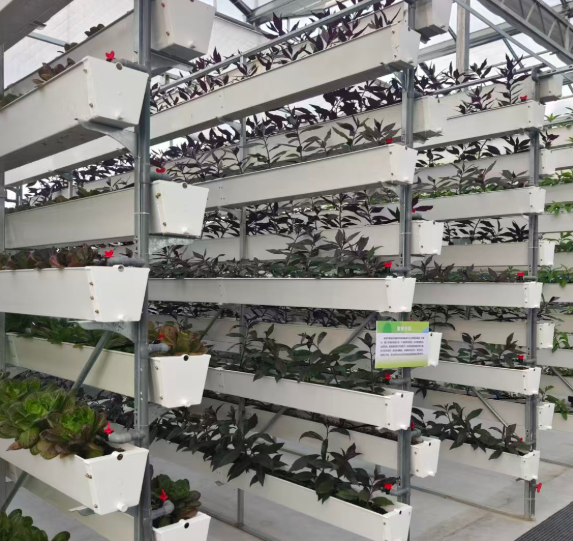 01041767519002274447.png 屏幕截图 2026-01-04 172942.png