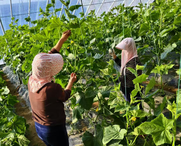 01041767519007732779.png 屏幕截图 2026-01-04 172946.png