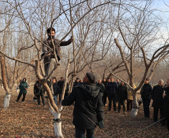 01121768215049164388.png 屏幕截图 2026-01-12 184231.png