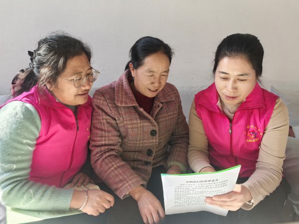 01131768301808669169.jpg IMG_20260112_150817.jpg